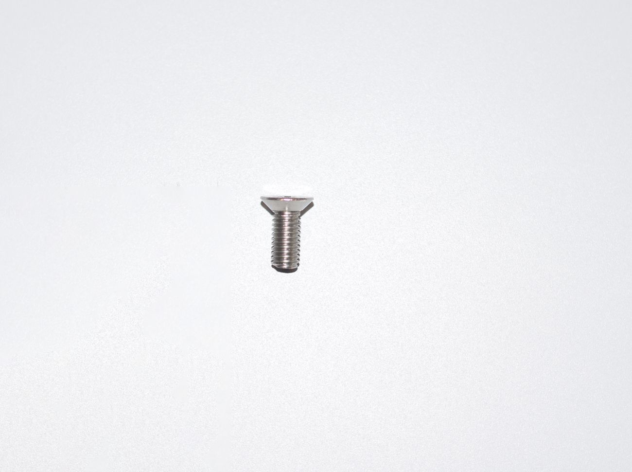 Asgard Door Screws ZSCREW340