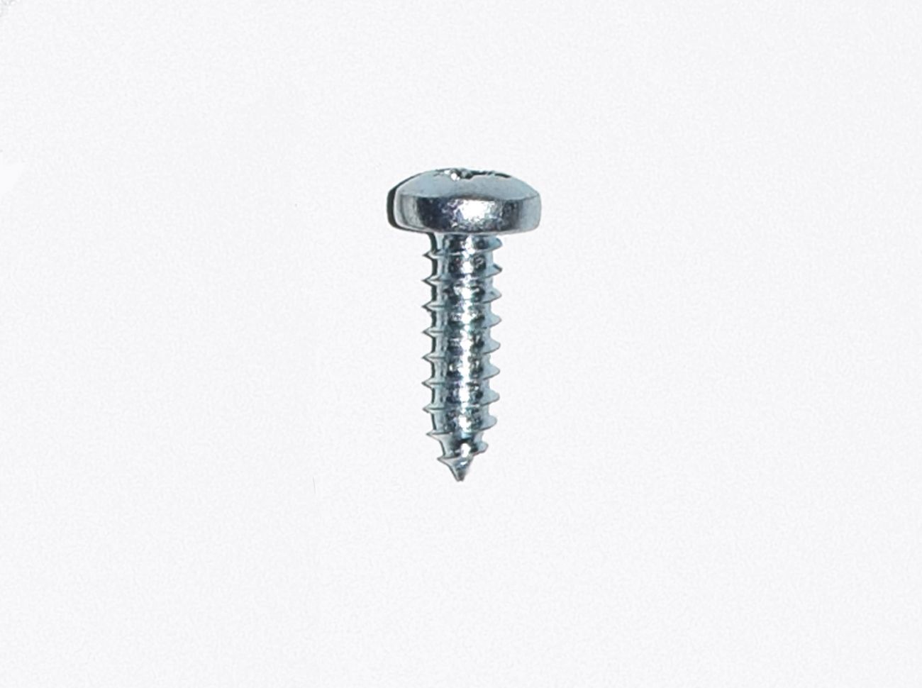 Asgard Screws ZSCREW100